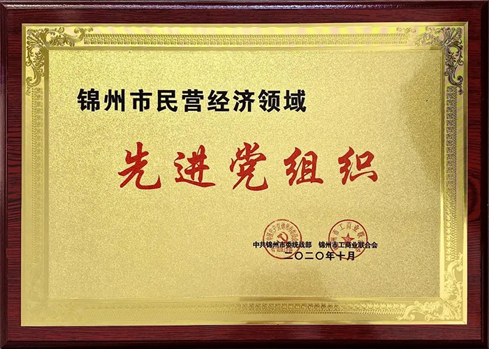 中共錦州市濱海電商行業(yè)協(xié)會(huì)/錦州濱海電子商務(wù)產(chǎn)業(yè)基地股份有限公司黨支部榮獲“先進(jìn)黨組織”稱號