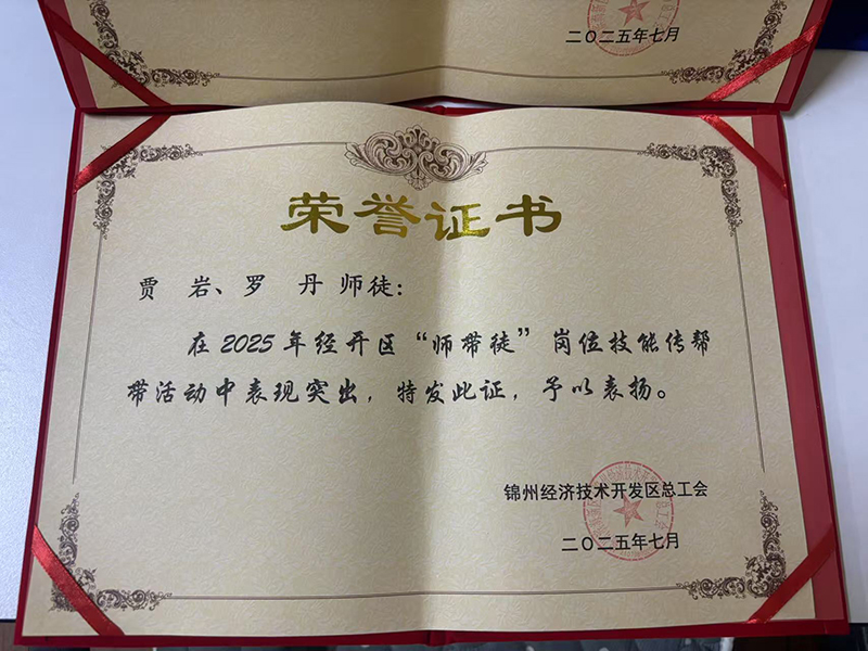 賈巖、羅丹師徒榮獲經(jīng)開區(qū)“師帶徒”崗位技能傳幫帶活動表彰