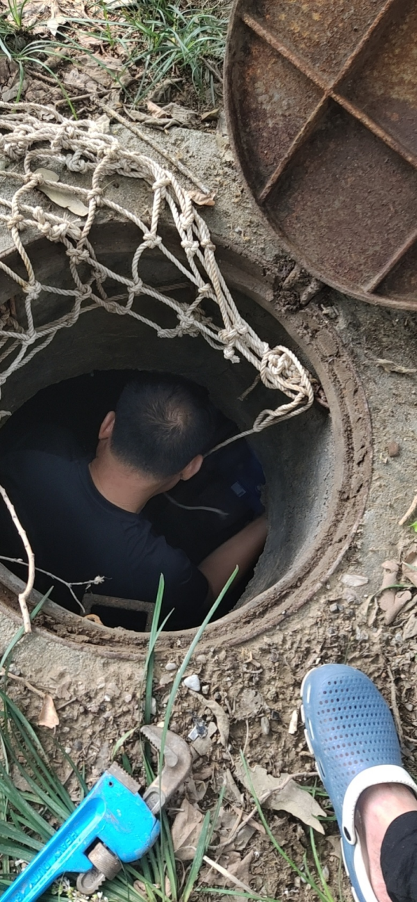 WPS圖片-修改尺寸1