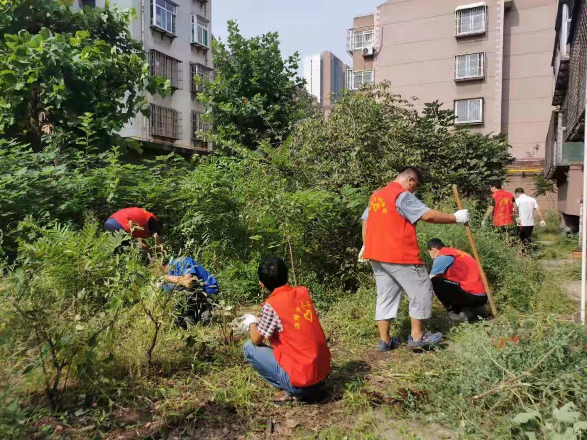 組織開展“雙報到”社區(qū)志愿服務(wù)活動 (3) 組織開展“雙報到”社區(qū)志愿服務(wù)活動 (3)