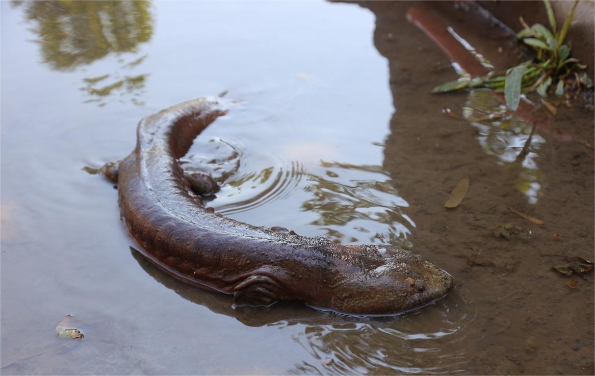 微信圖片_20230515142547 微信圖片_20230515142547