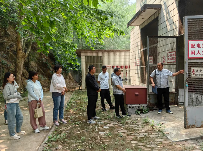 1717035409763 1717035409763